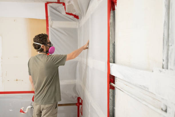 Best Comprehensive Air Testing for Mold Contaminants  in Boron, CA